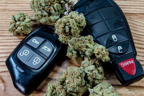 driving and cannabis cotati